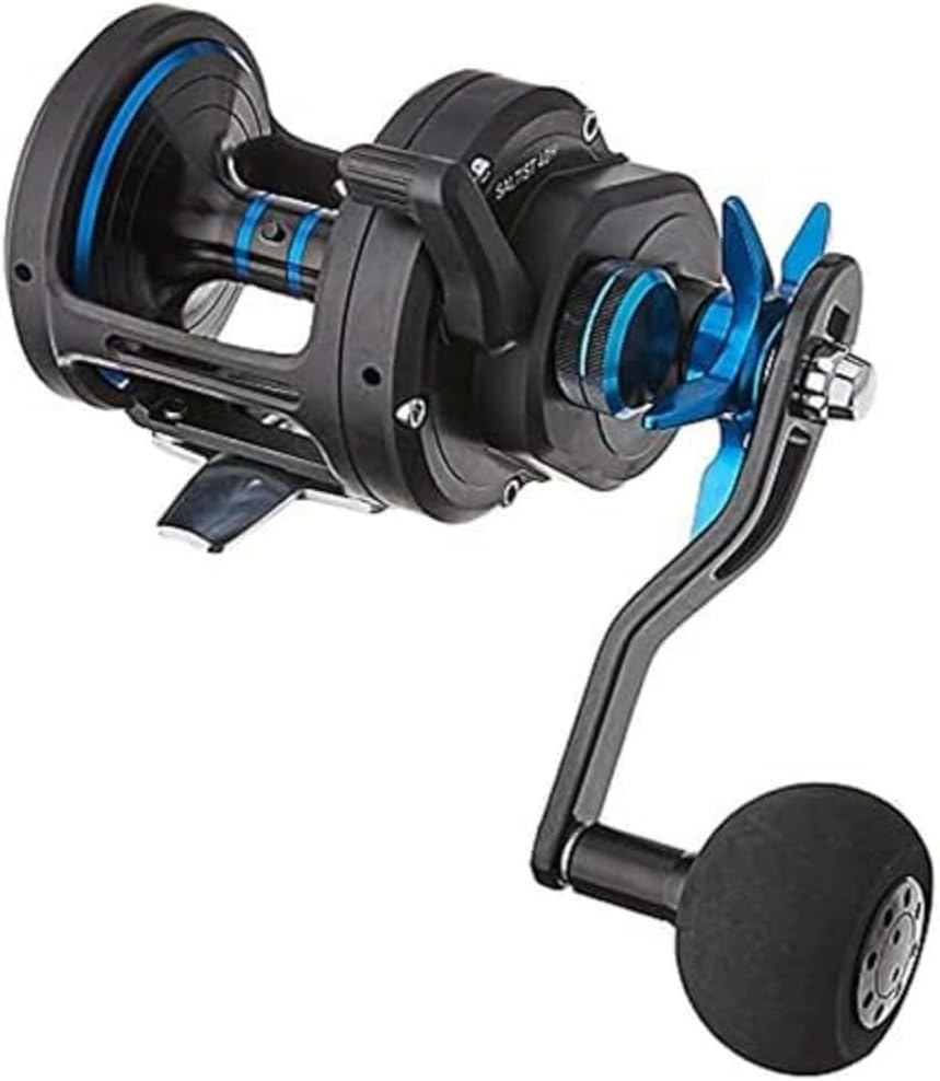 Daiwa Saltist Star Drag High Speed Reel, 40H