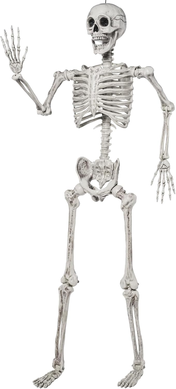 JOYIN 5.6 FT Halloween Posable Life Size Skeleton Full Body Realistic Bones with Movable Joints for Halloween (White)