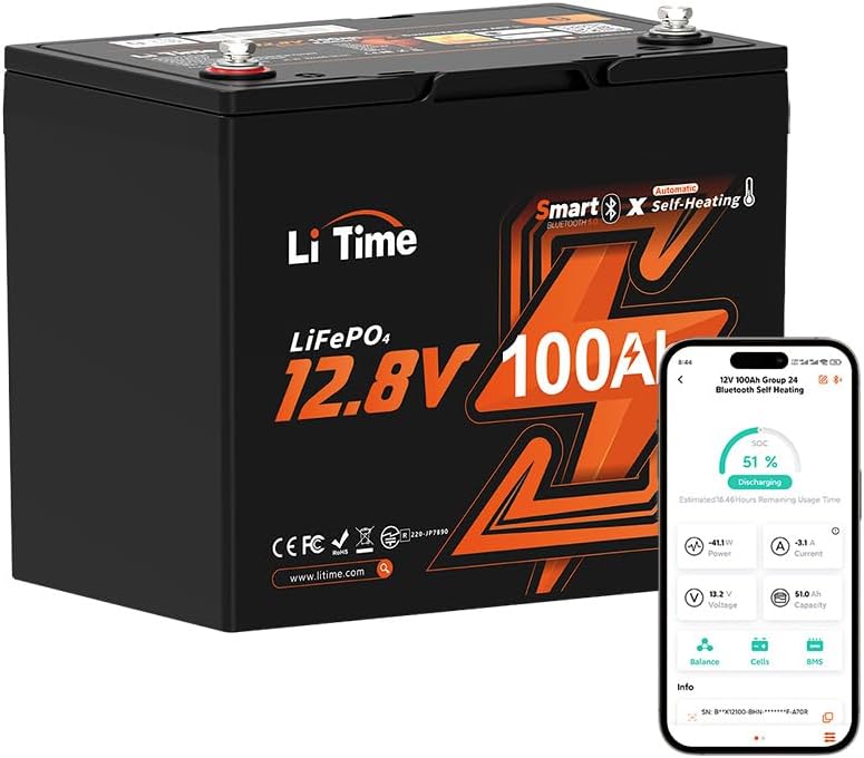 Litime 12V 100Ah Bluetooth Heating LiFePO4 Battery, 100A BMS, 2 Heating Modes, Low-Temp Protection, 15000 Cycles for RV, Solar